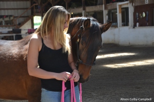 DSC_9019 Milestone equestrian Center Farm Horse blog